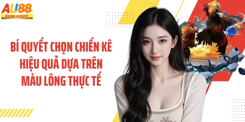 Bí quyết chọn chiến kê hiệu quả dựa trên màu lông thực tế