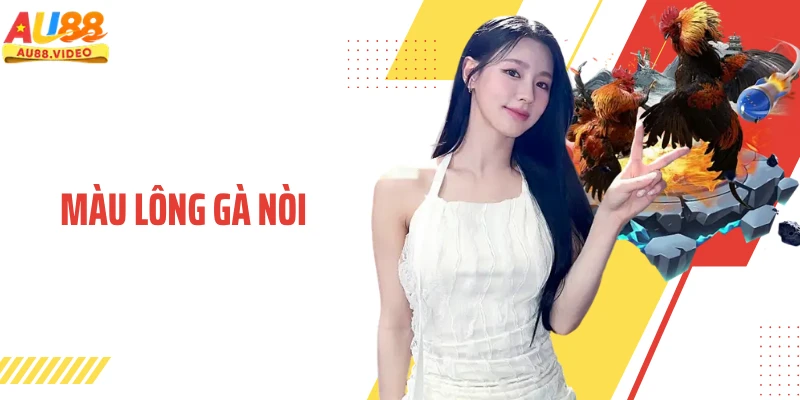 Màu Lông Gà Nòi Và Cách Nhận Diện Chuẩn Hiệu Quả 